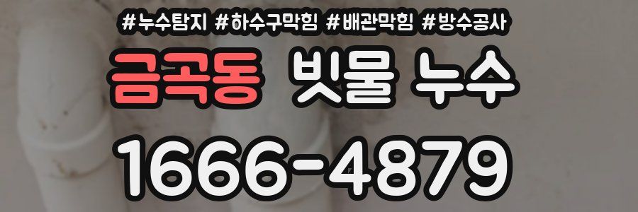 금곡동 빗물 누수