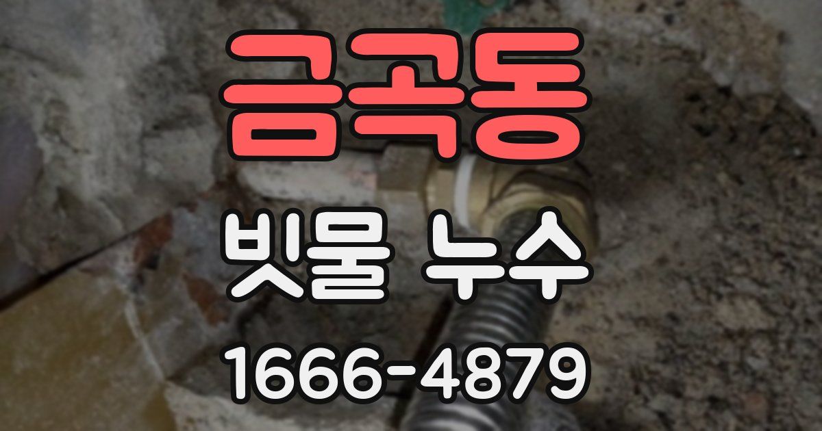 금곡동 빗물 누수