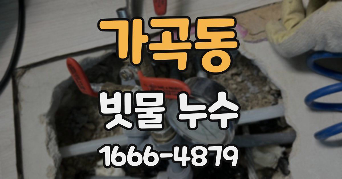 가곡동 빗물 누수
