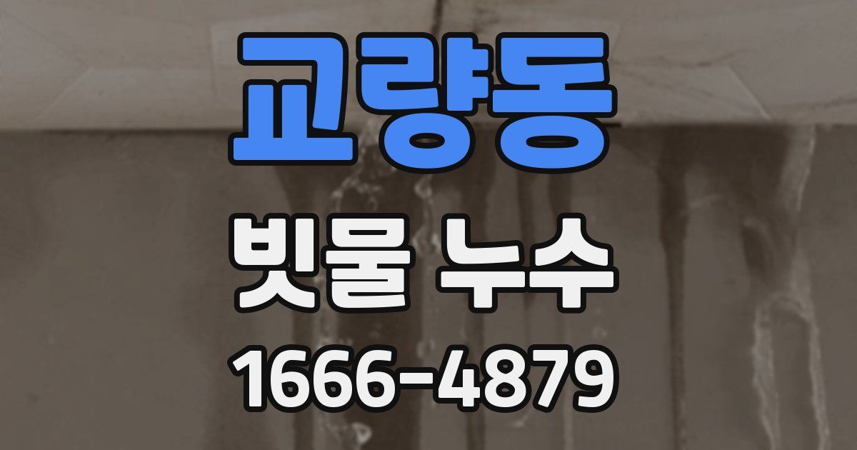교량동 빗물 누수