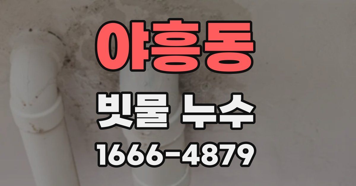 야흥동 빗물 누수