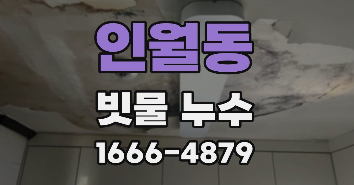 인월동 빗물 누수