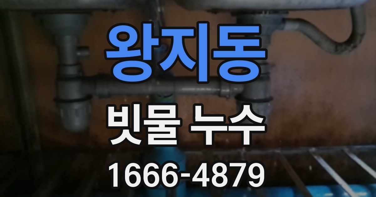 왕지동 빗물 누수