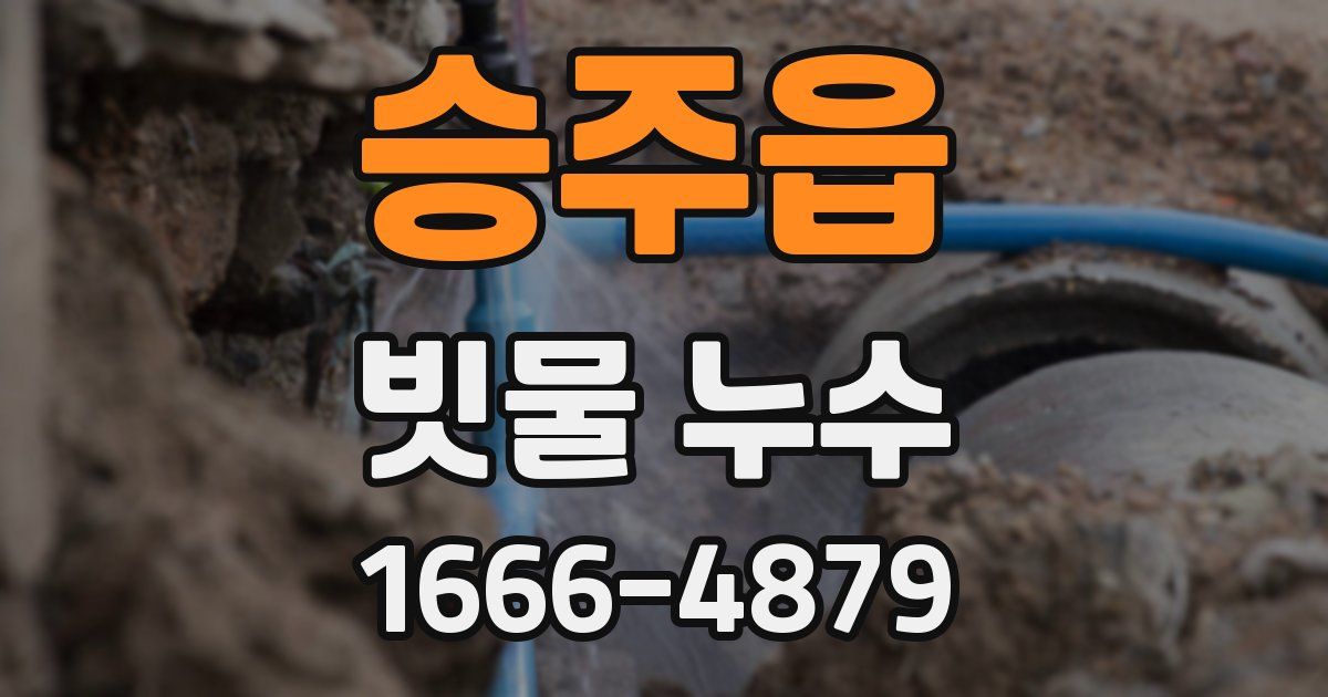 승주읍 빗물 누수