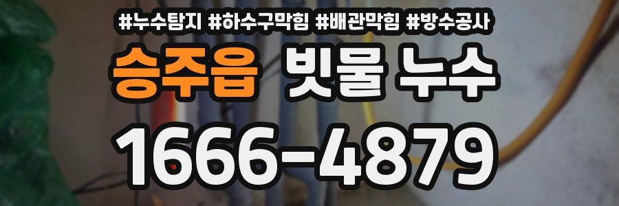 승주읍 빗물 누수