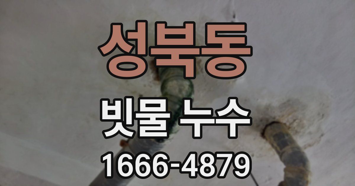 성북동 빗물 누수