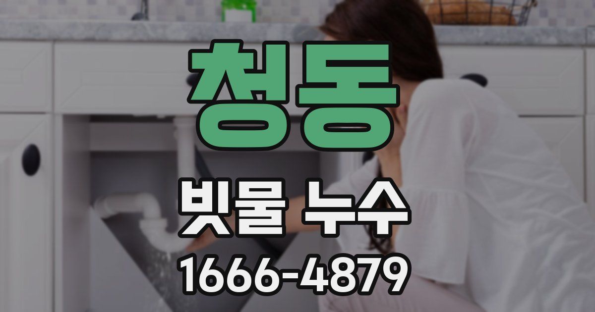 청동 빗물 누수