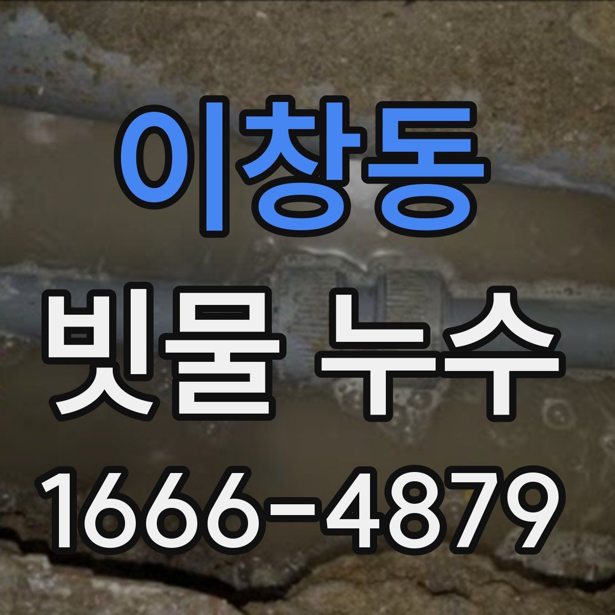 이창동 빗물 누수