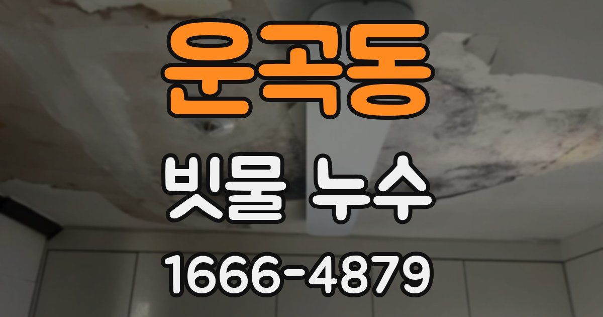 운곡동 빗물 누수