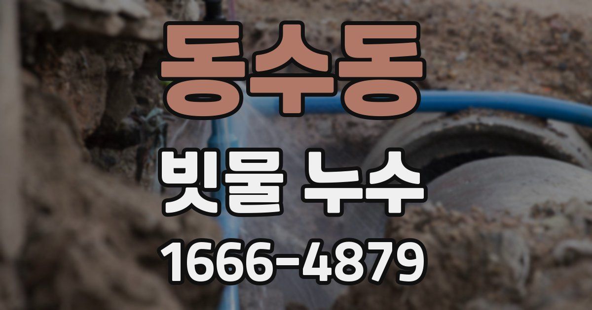 동수동 빗물 누수