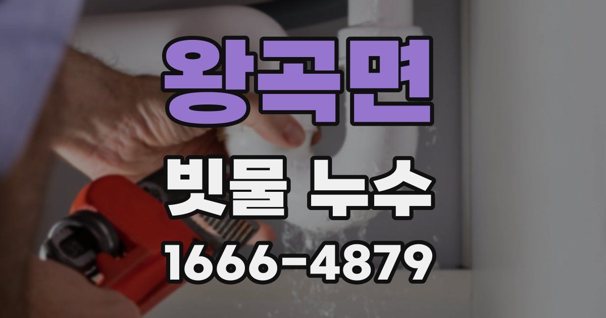 왕곡면 빗물 누수