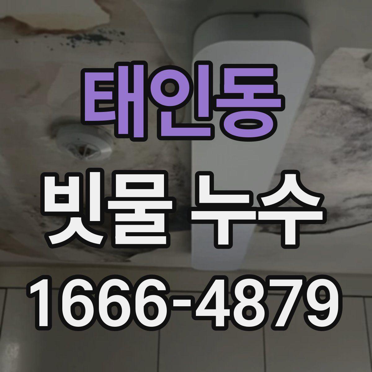 태인동 빗물 누수