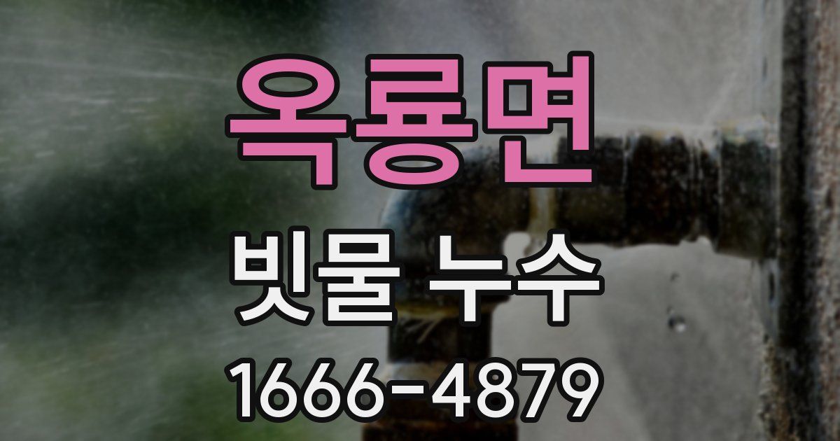 옥룡면 빗물 누수