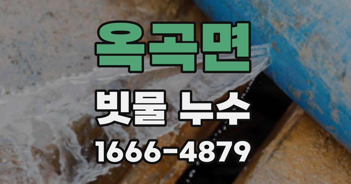 옥곡면 빗물 누수