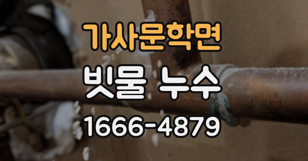 가사문학면 빗물 누수