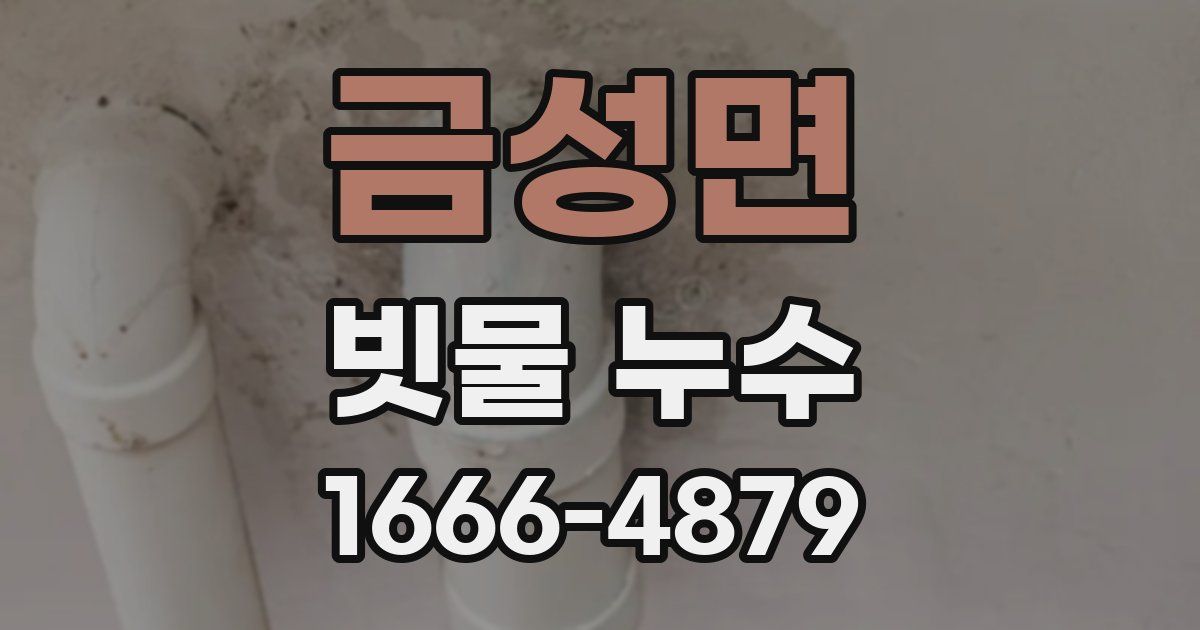 금성면 빗물 누수