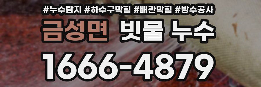 금성면 빗물 누수