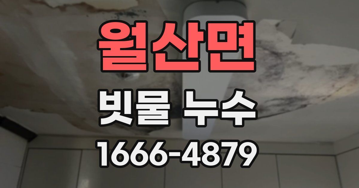월산면 빗물 누수