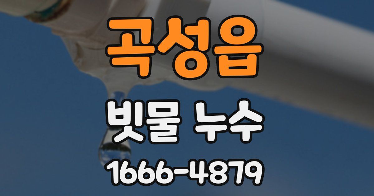 곡성읍 빗물 누수