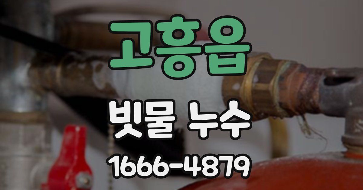 고흥읍 빗물 누수