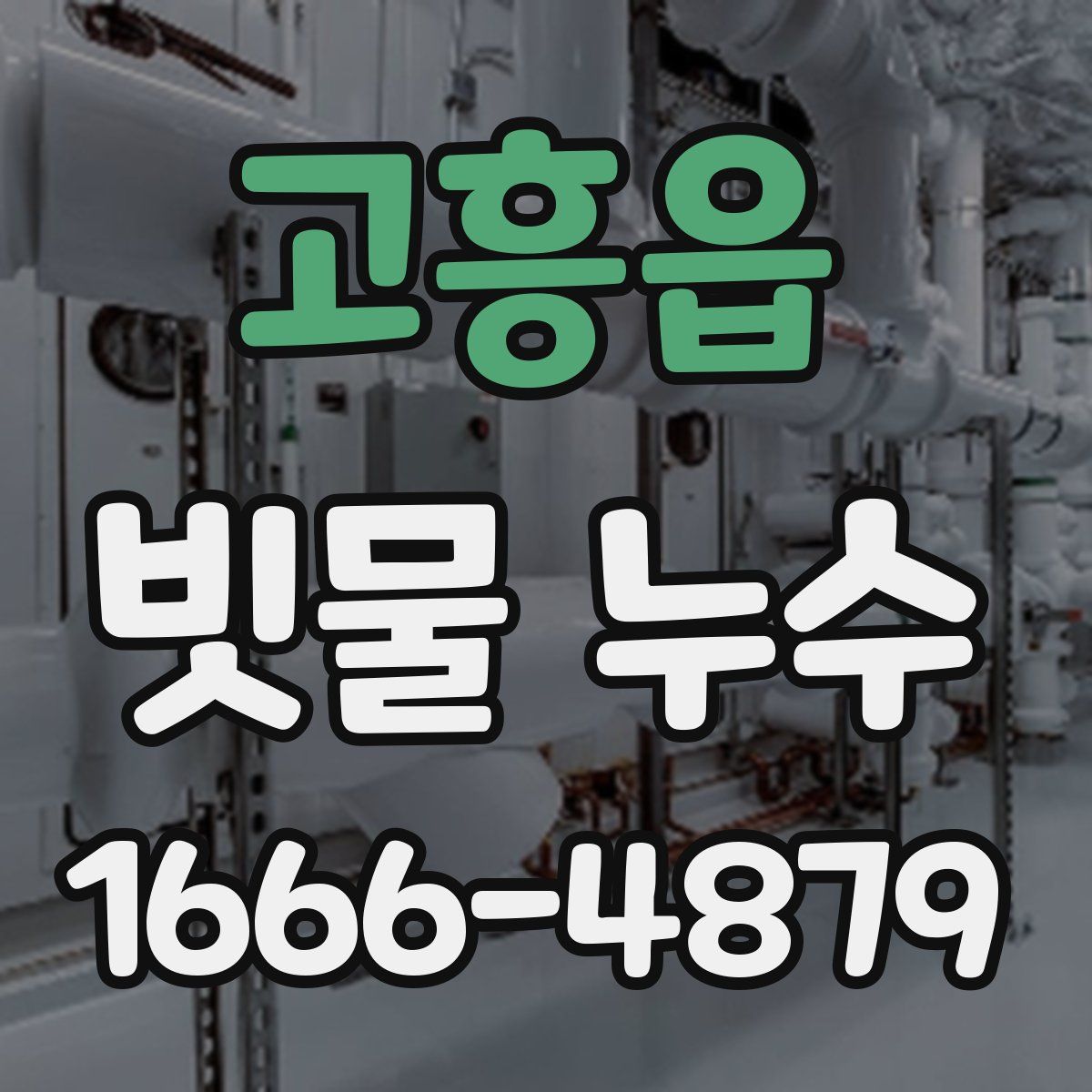 고흥읍 빗물 누수