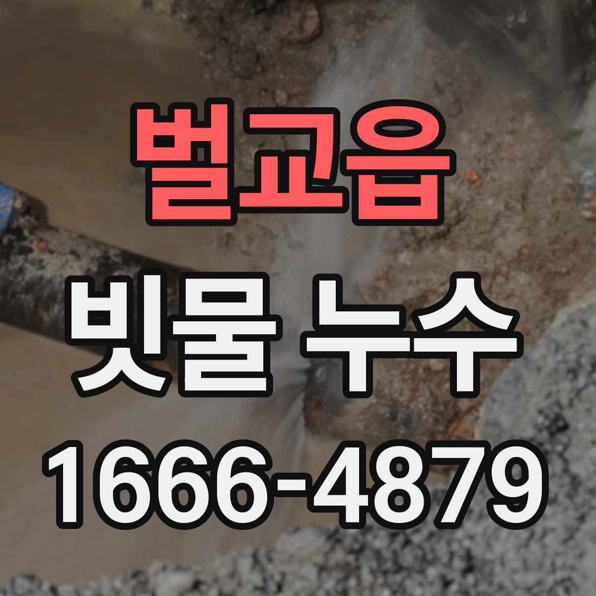 벌교읍 빗물 누수