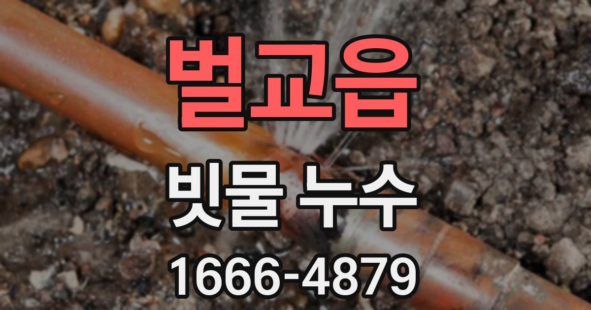 벌교읍 빗물 누수