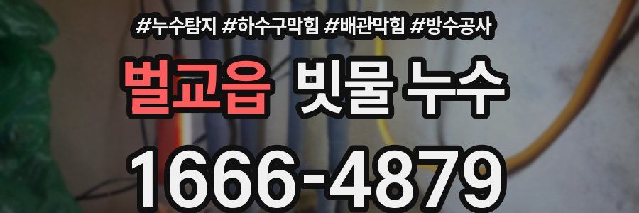 벌교읍 빗물 누수