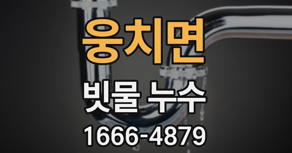 웅치면 빗물 누수