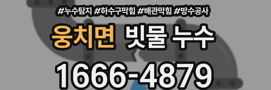 웅치면 빗물 누수