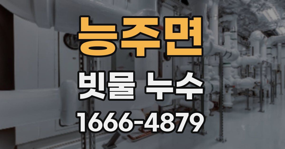 능주면 빗물 누수