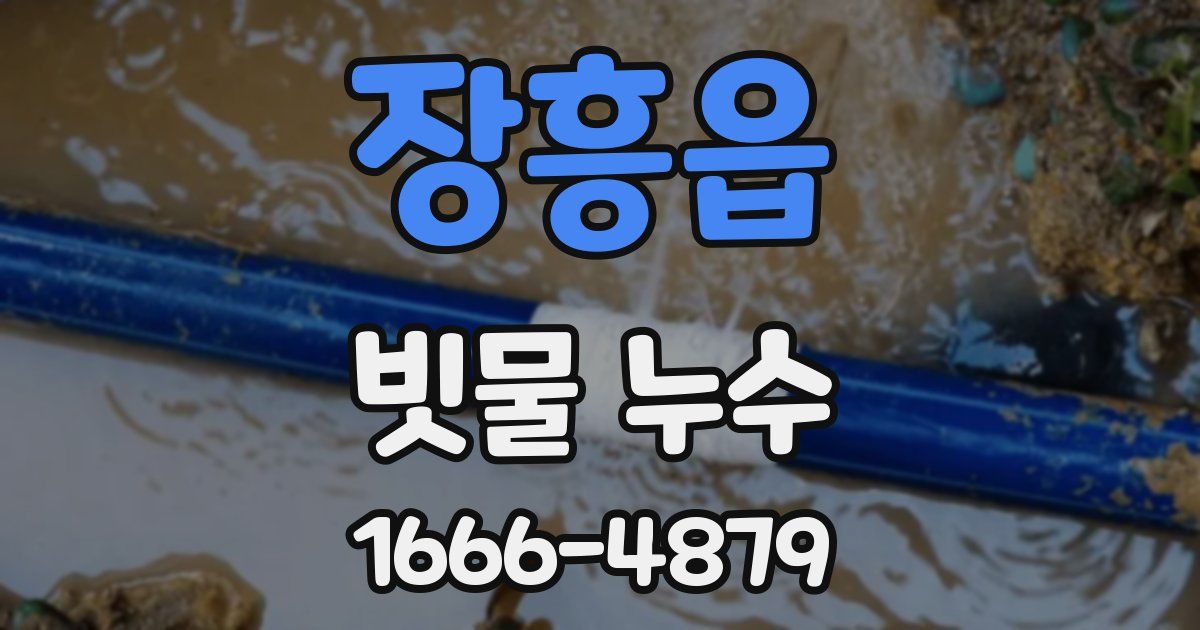 장흥읍 빗물 누수