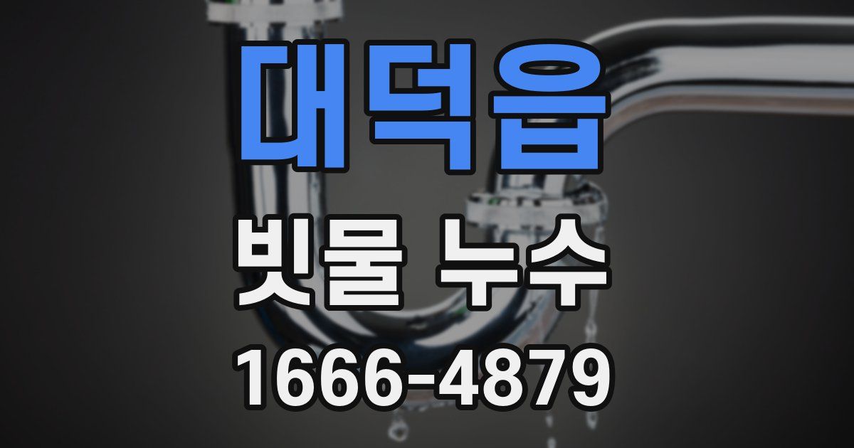대덕읍 빗물 누수
