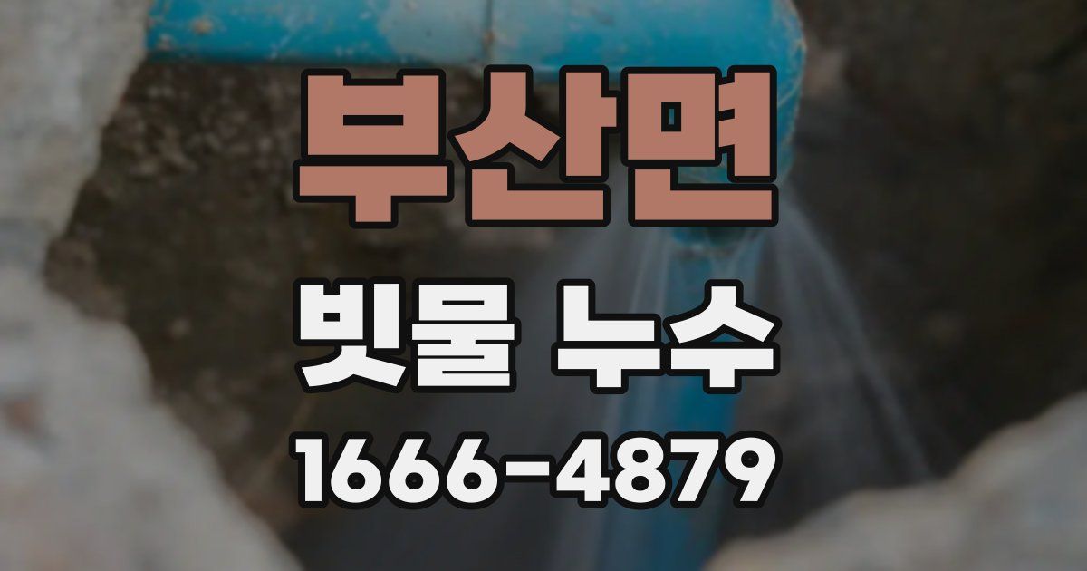 부산면 빗물 누수