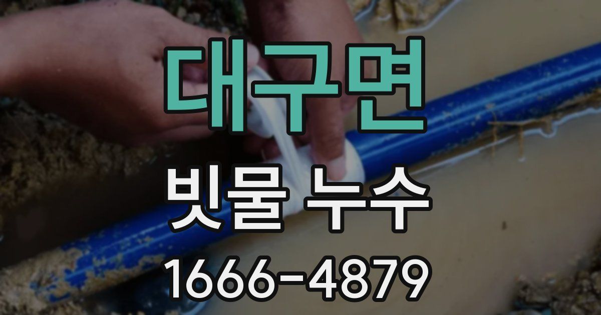 대구면 빗물 누수