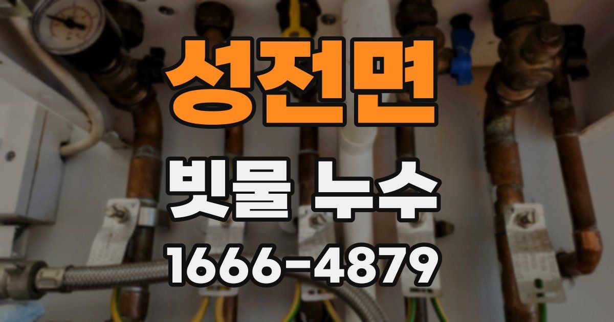 성전면 빗물 누수