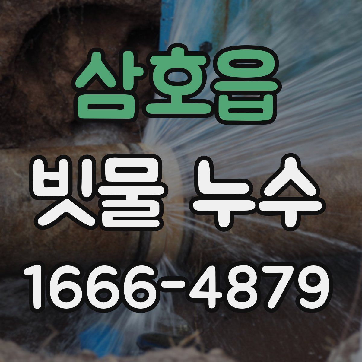 삼호읍 빗물 누수