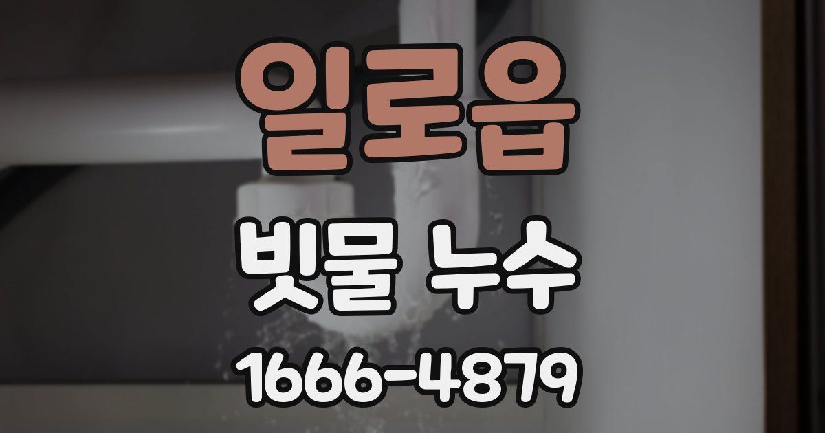 일로읍 빗물 누수
