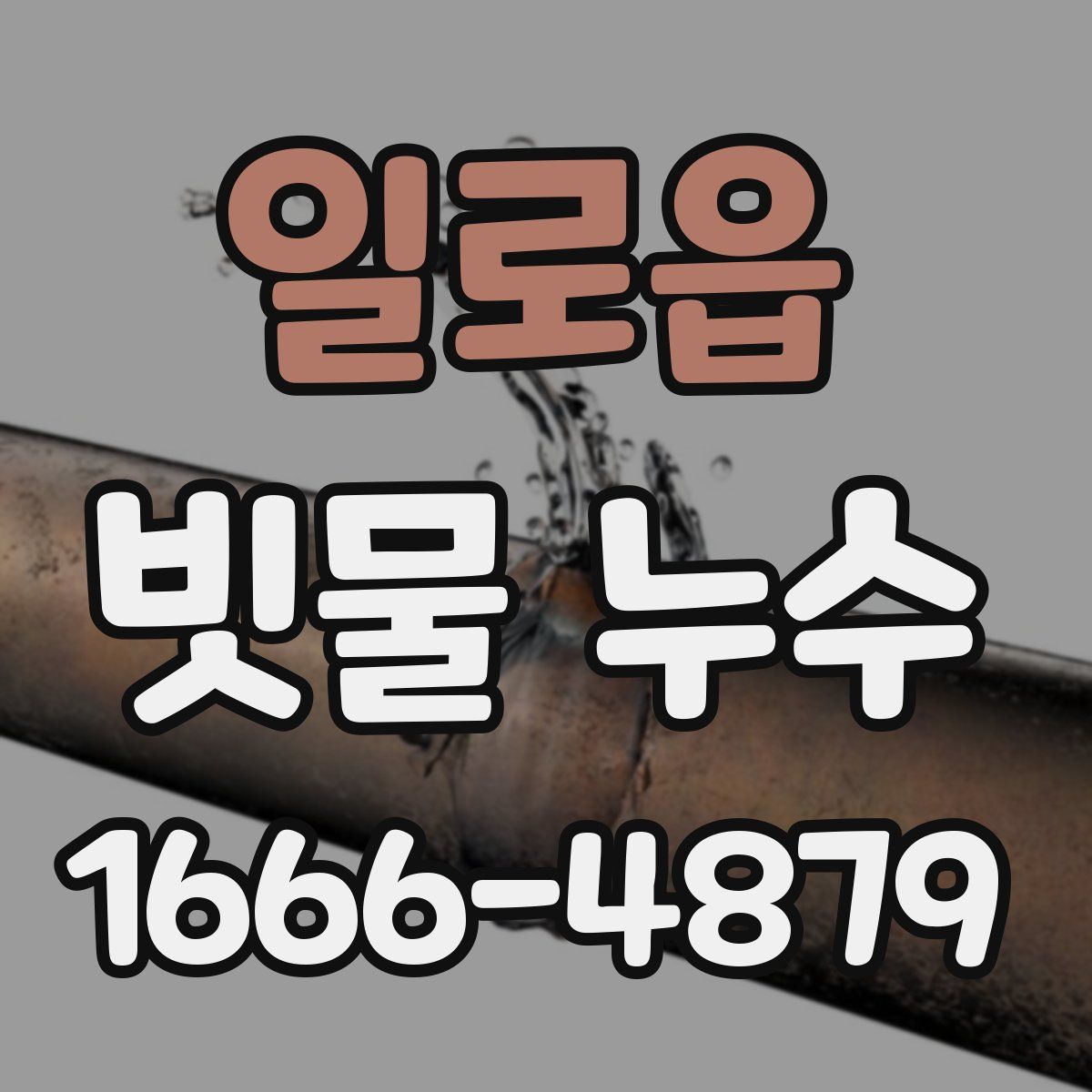일로읍 빗물 누수
