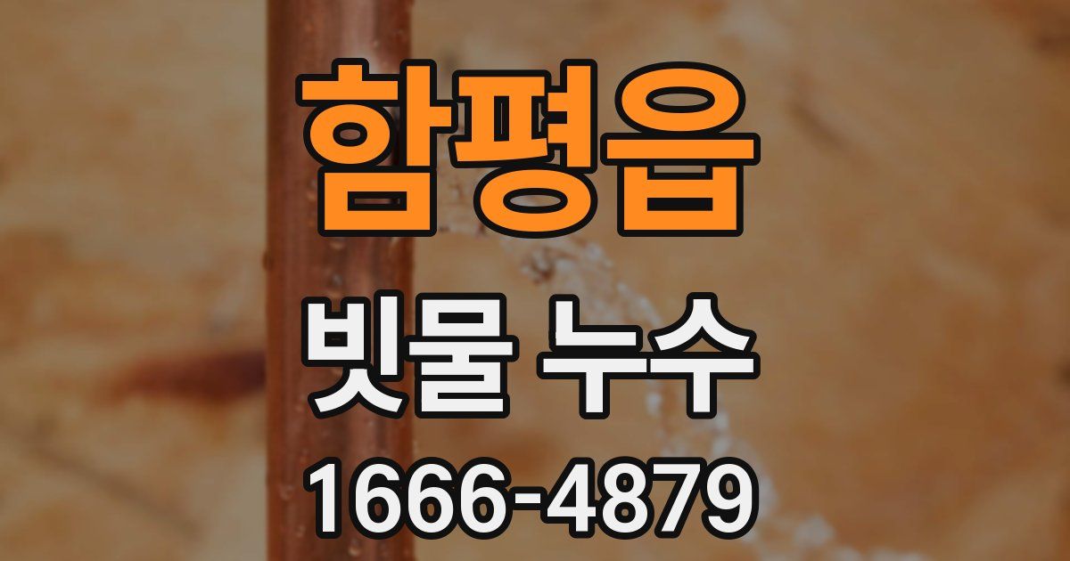 함평읍 빗물 누수