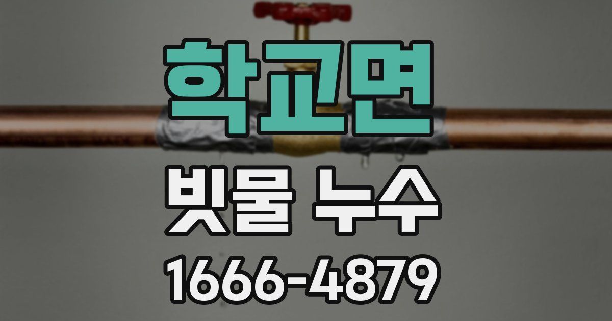 학교면 빗물 누수