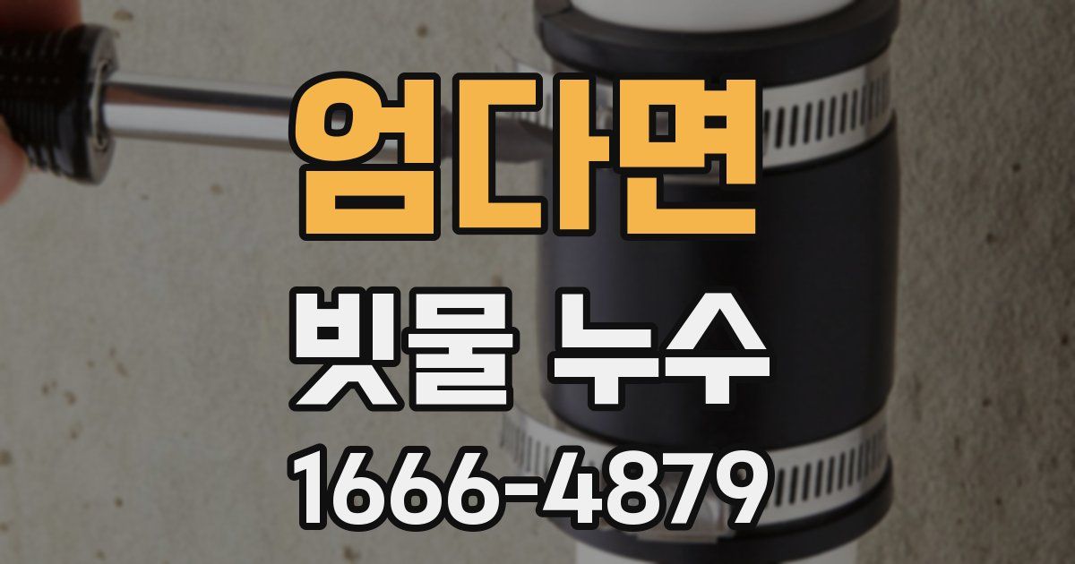 엄다면 빗물 누수