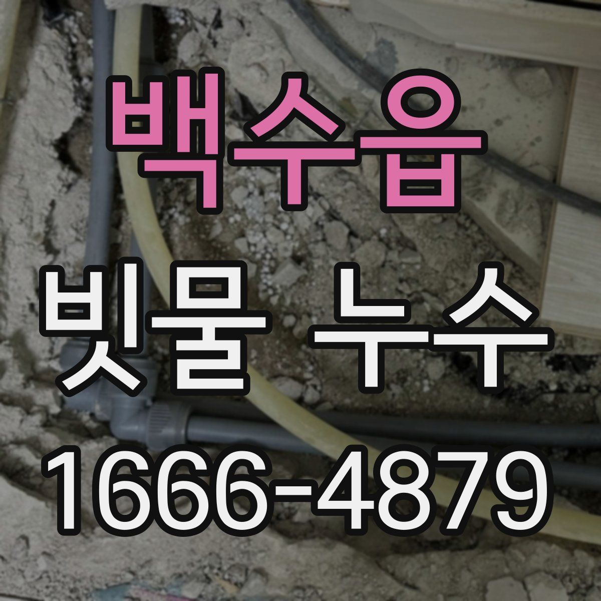 백수읍 빗물 누수