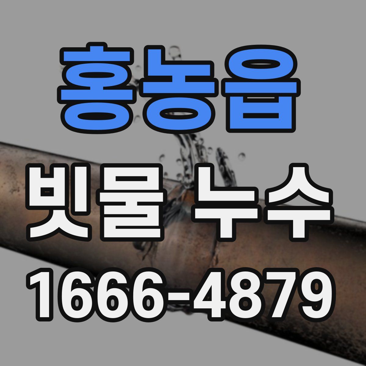 홍농읍 빗물 누수
