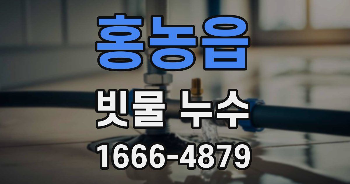 홍농읍 빗물 누수