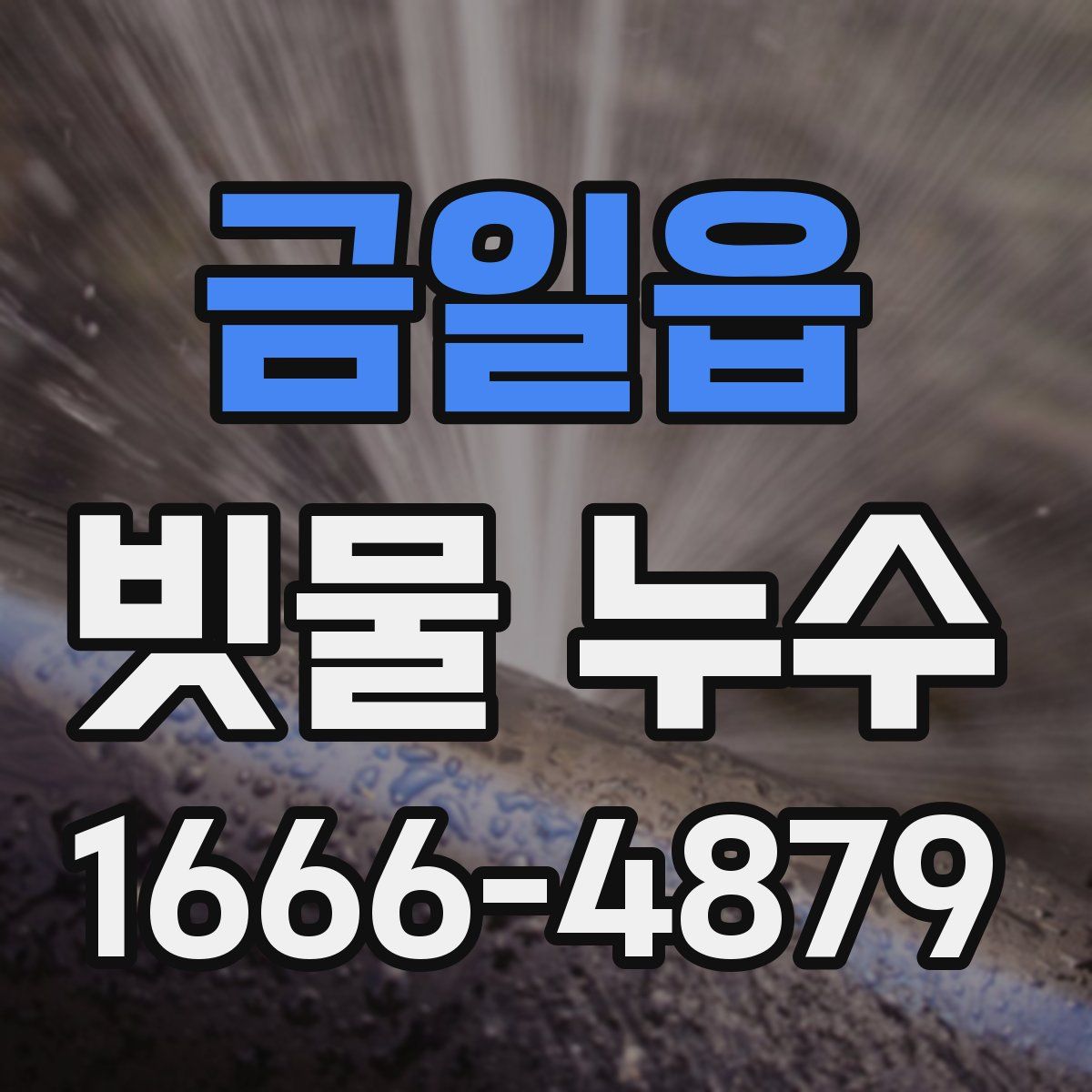 금일읍 빗물 누수