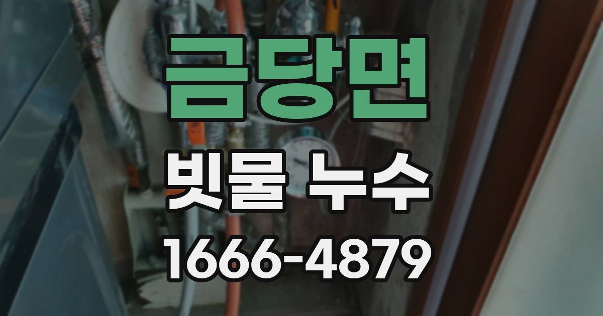 금당면 빗물 누수
