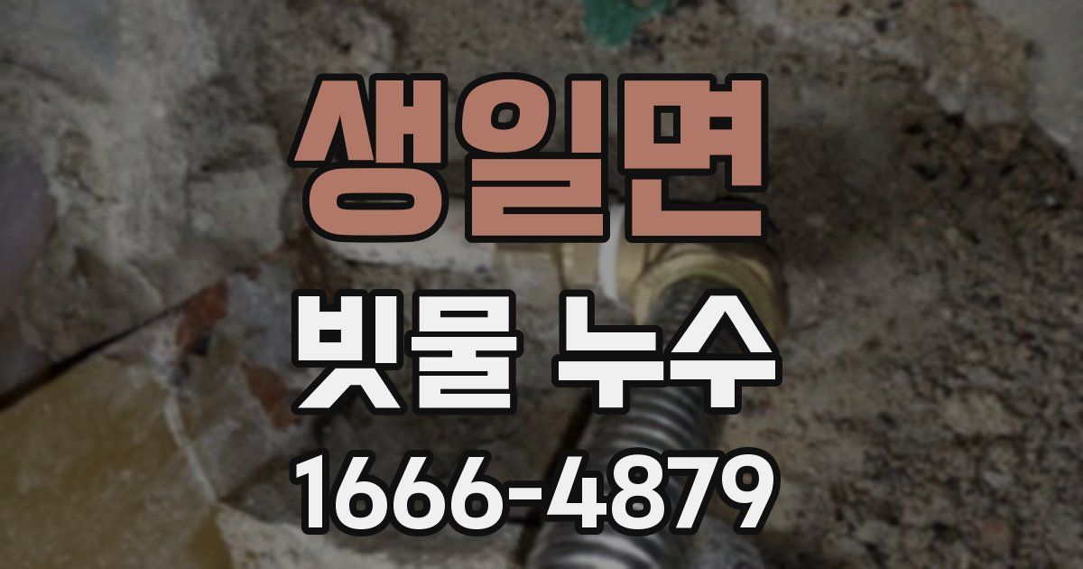 생일면 빗물 누수