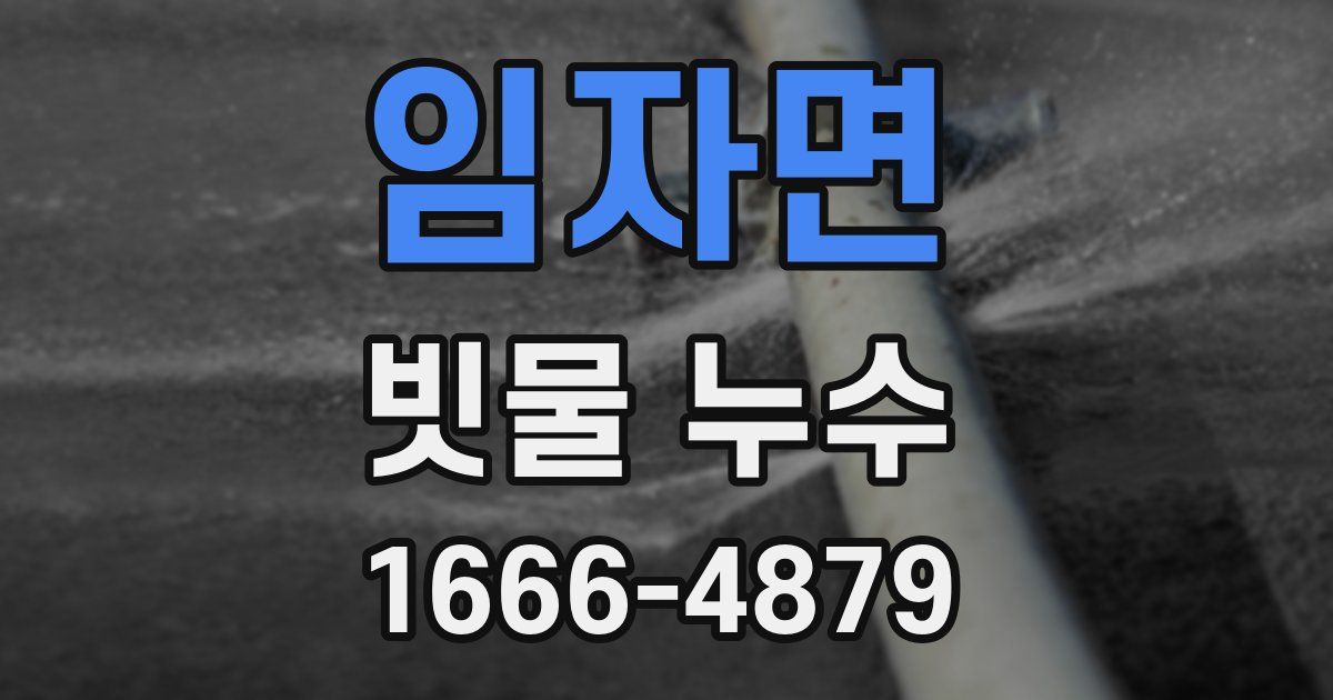 임자면 빗물 누수