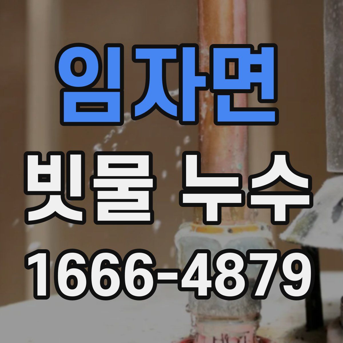 임자면 빗물 누수